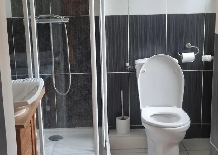 Manoir De La Graviere Bed & Breakfast Mouzon (Ardennes)